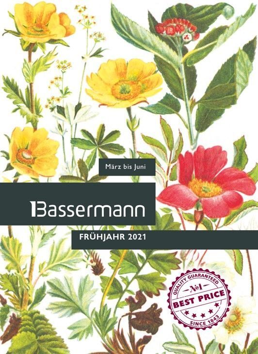 Im Hintergrund des Titels sind realistische bunte gezeichnete Blumen.
